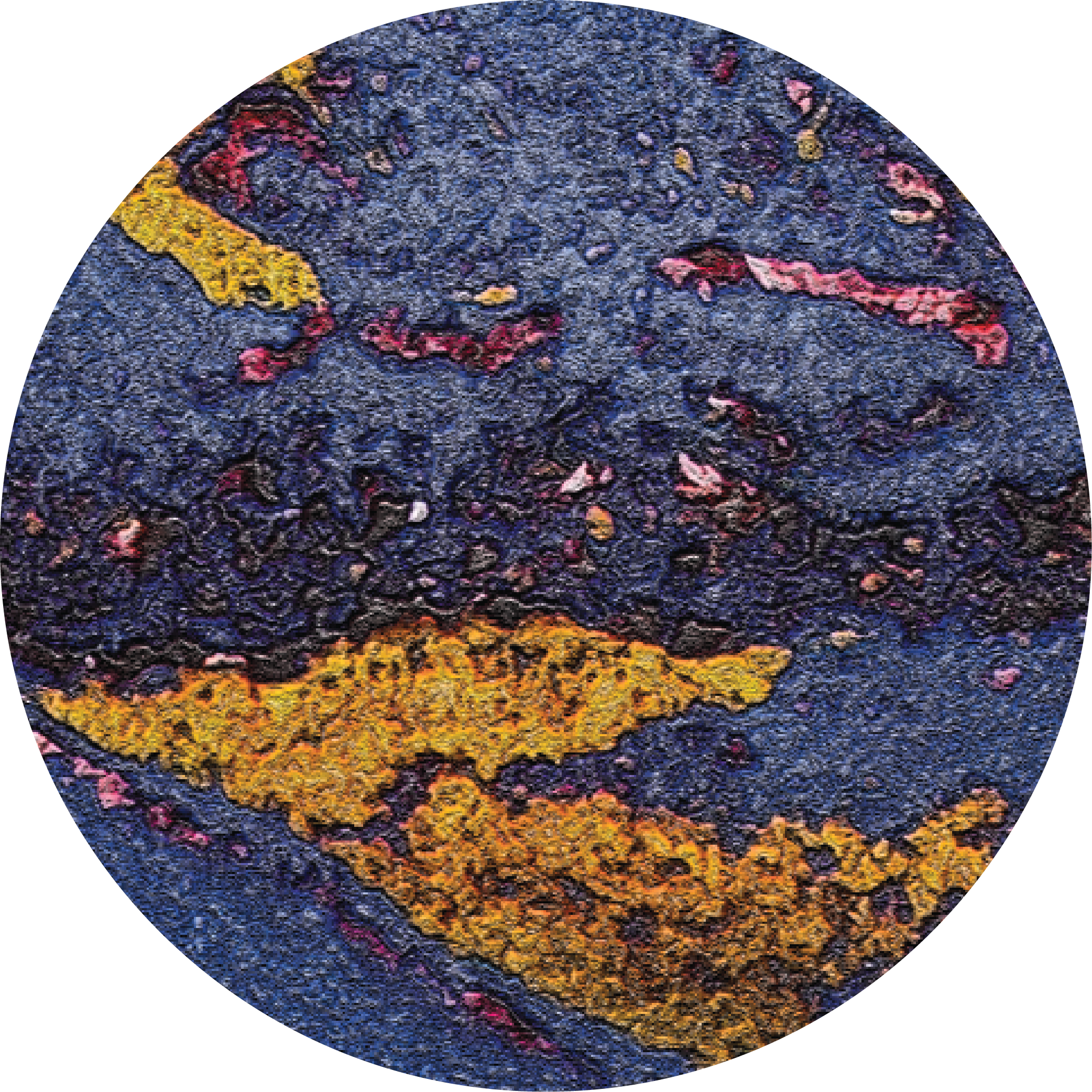 Vincens Merlot