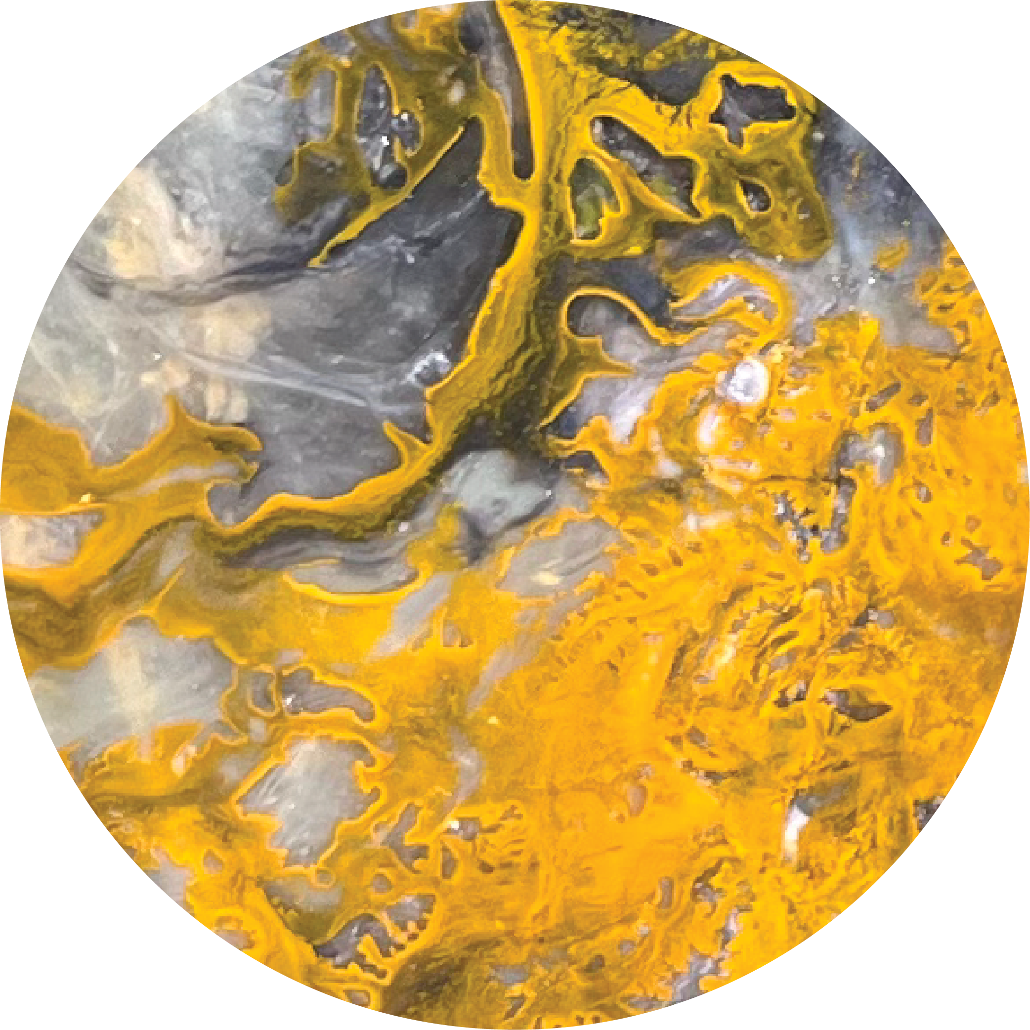 RÊVERIE RIESLING